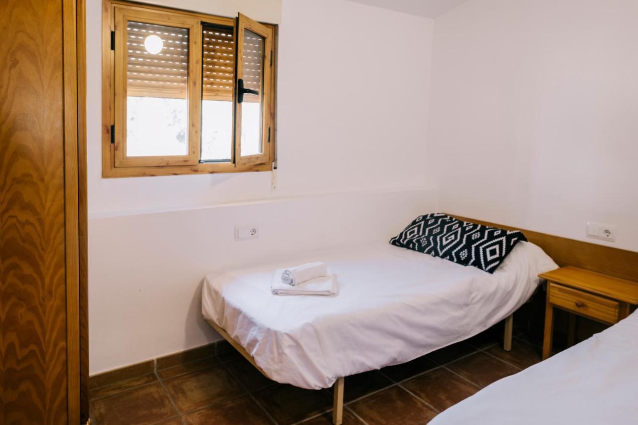 Standard Twin Room Mountain View
