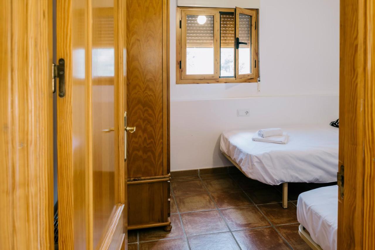 Standard Twin Room Mountain View