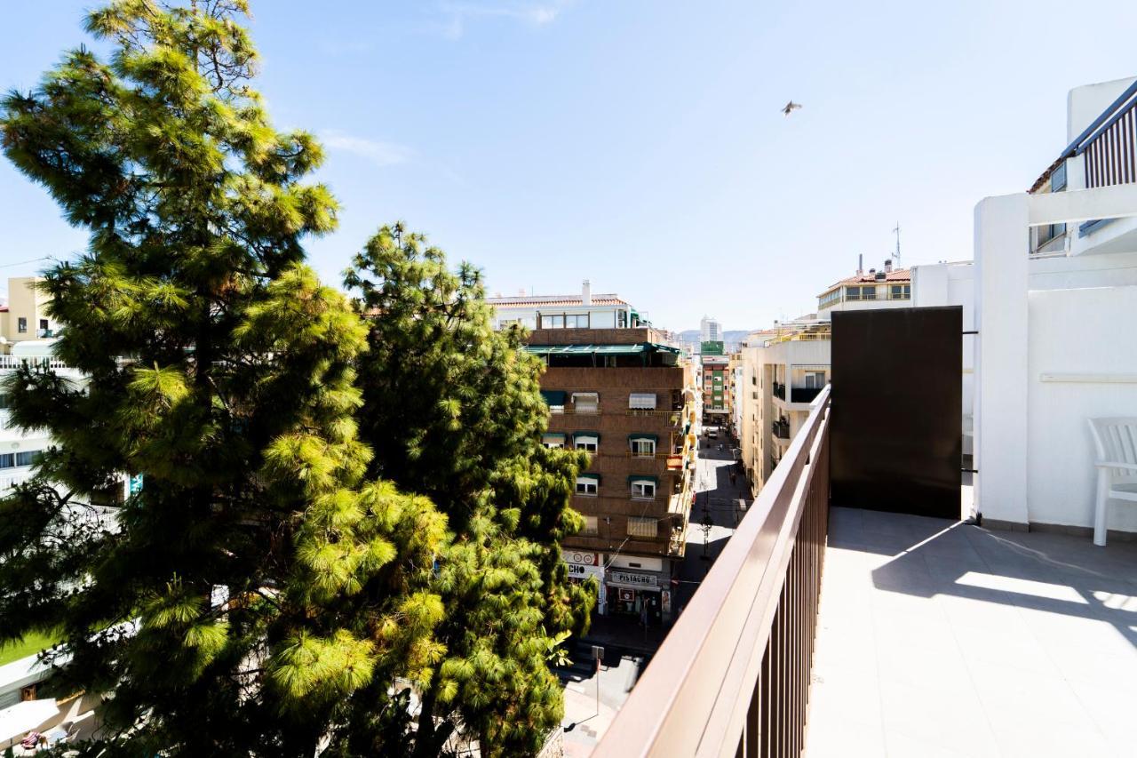 Single Room Terrace