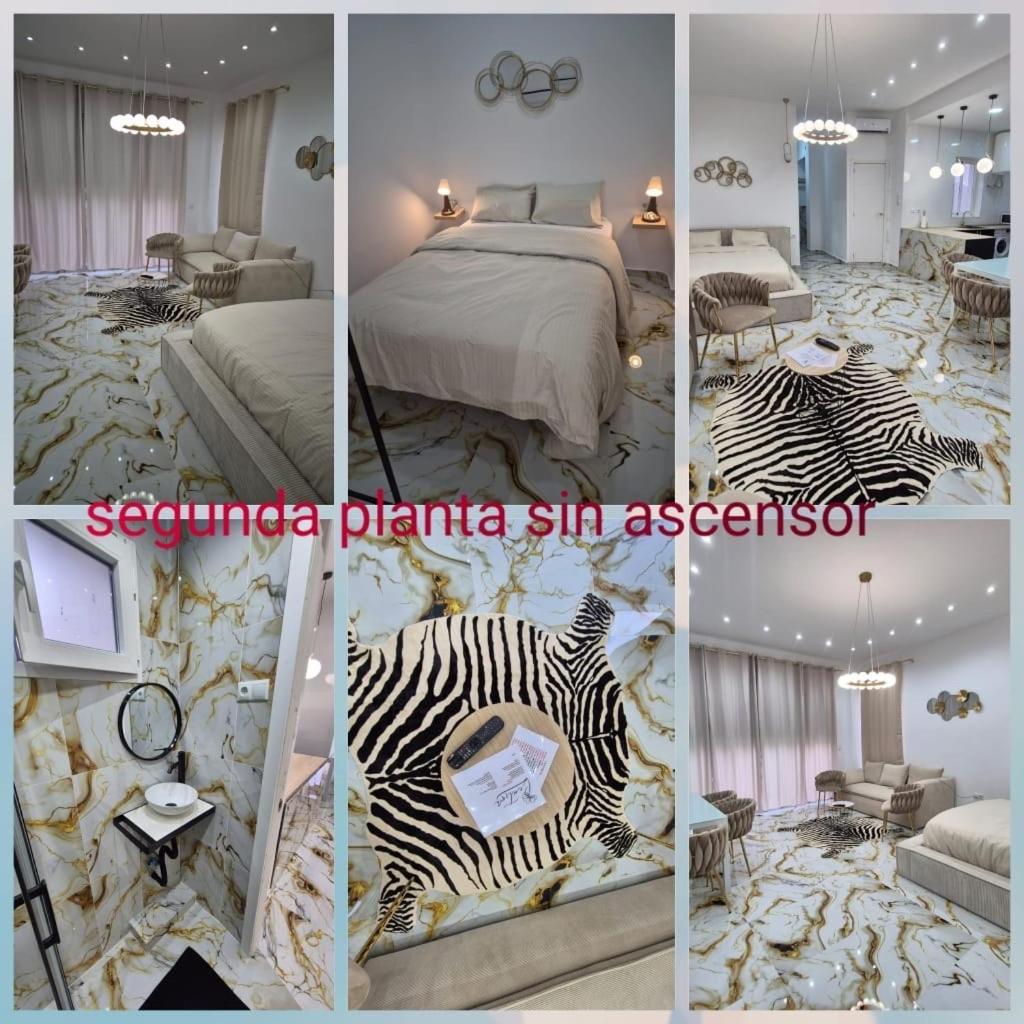 Penthouse Apartment,1649997253:JPEG