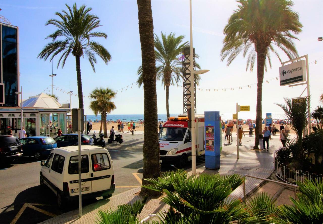 Apartment,803900670:JPEG