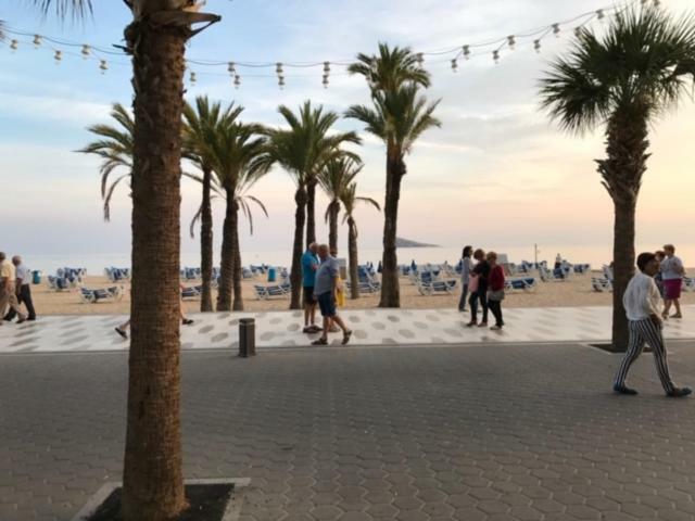 Apartment Sea View