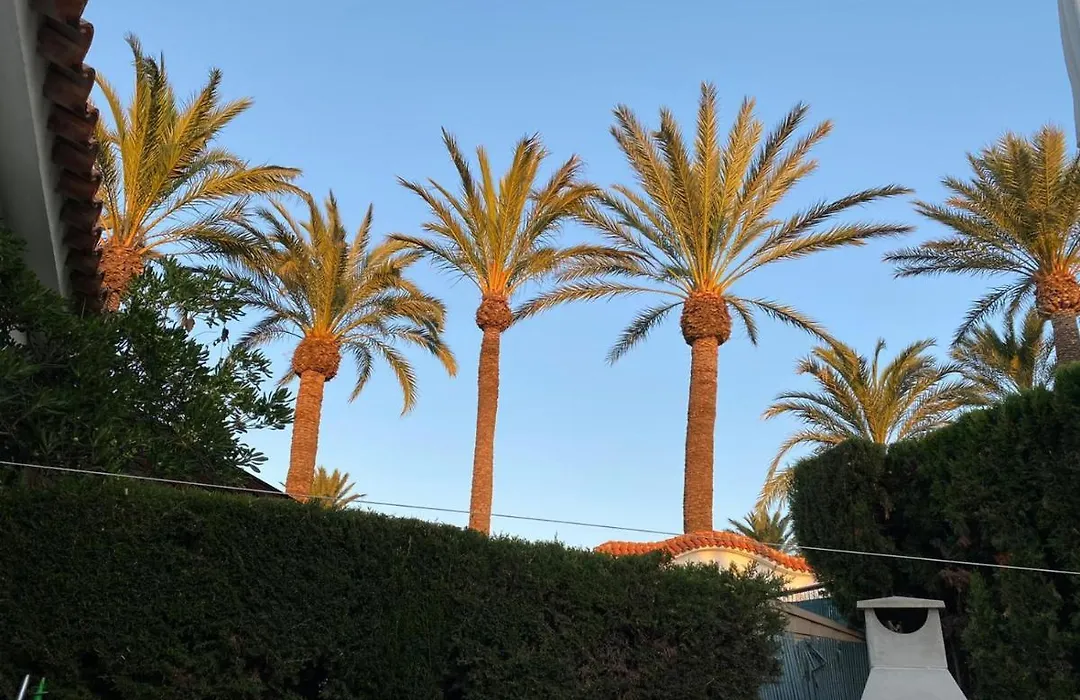 Gemütliches Bungalow in Denia Spanien-1