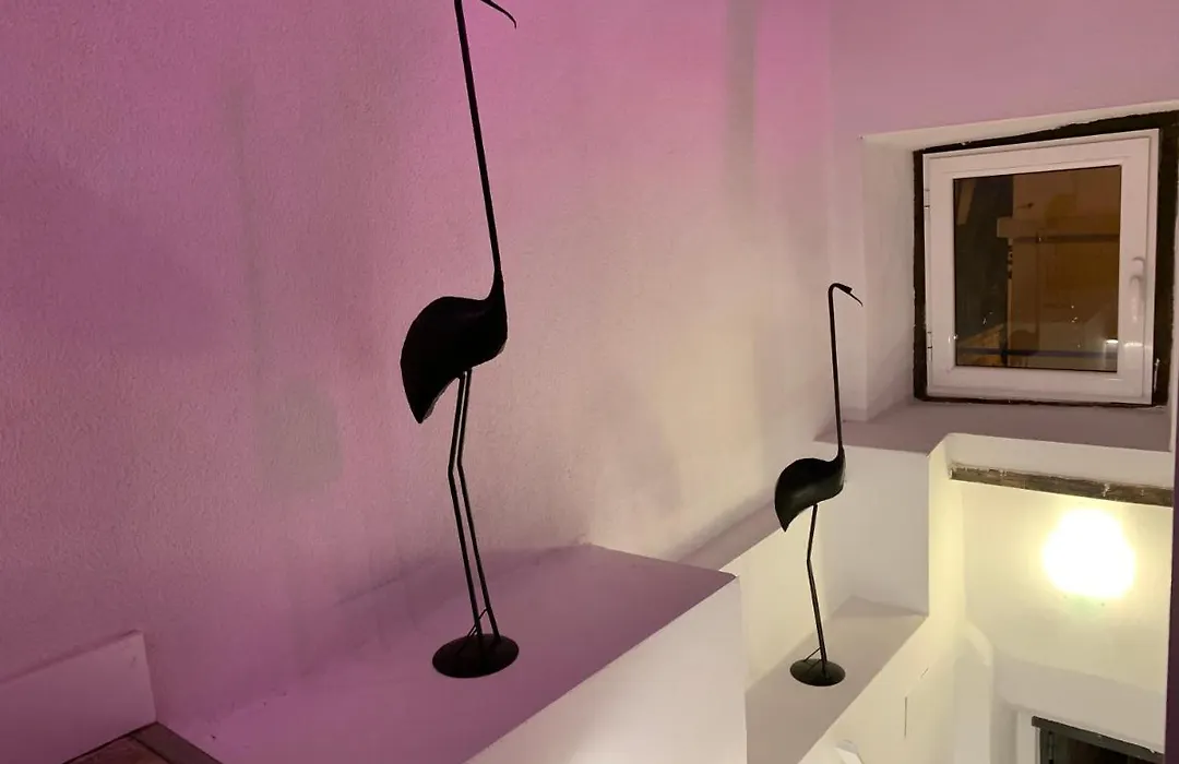 Casita Del Flamingo En Casco Historico-1