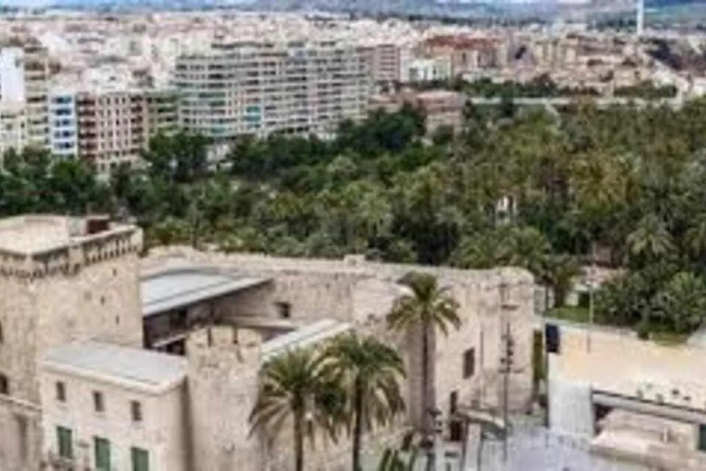 Stylish Apartament- Habitaciones Elche Centro--1