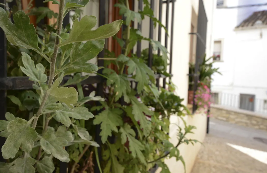 Hostal La Fonda Grupo Terra de Mar, alojamientos con encanto-1