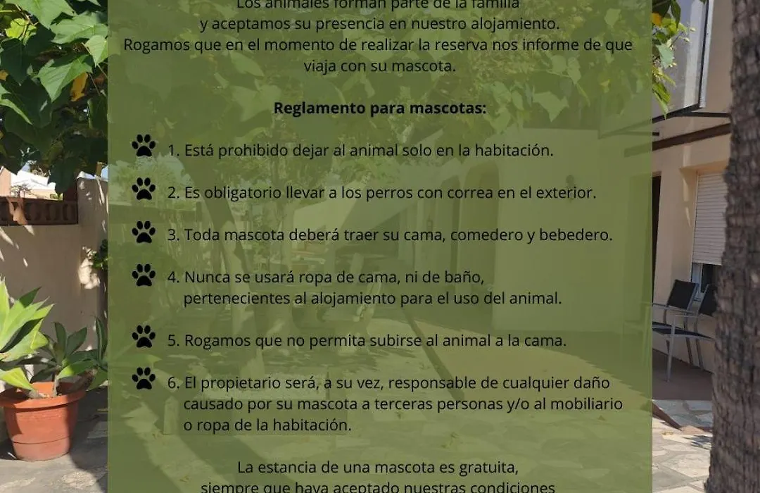 Alojamiento Cafe Soles-1