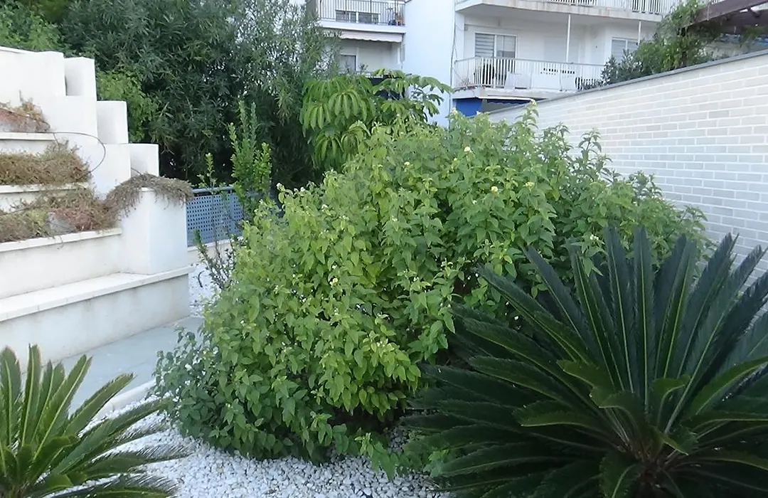 Aпартаменты В San Juan Playa-1