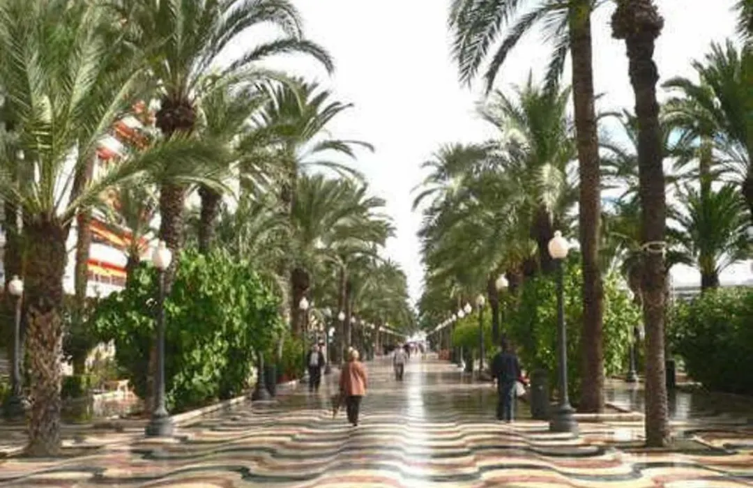 Alicante Center Apart-1
