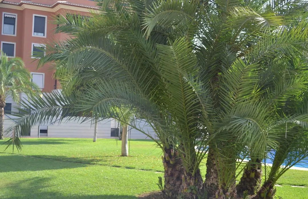 Jardines De Las Marinas - Royal Suite-1