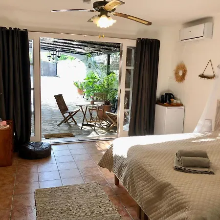 Casa Olivia-3