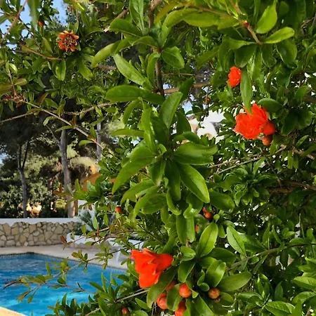 Casa Olivia-2