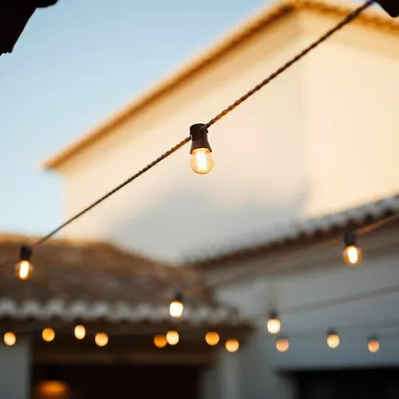 The Adelante House-3