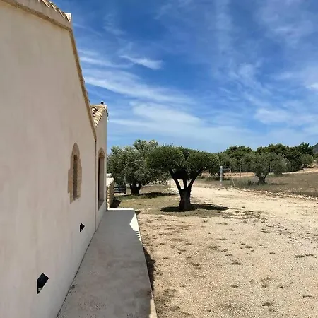 Casita rural entre olivos-3