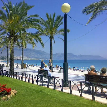 Albir Azul-2