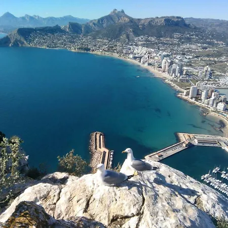Calpe9A-2