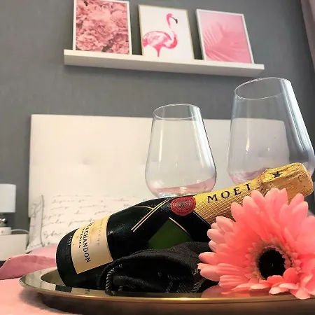 Estudio Alicante Centro-2