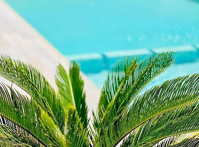 Luxus Und Erholung Pur Natura El Pinet Apartamento La Mariña