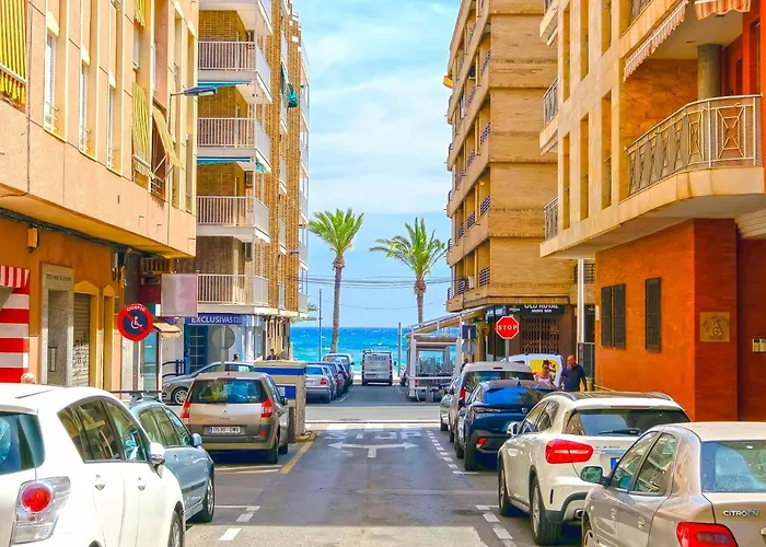 Pet friendly Penthouse La Paloma Playa Del Cura Apartment Torrevieja