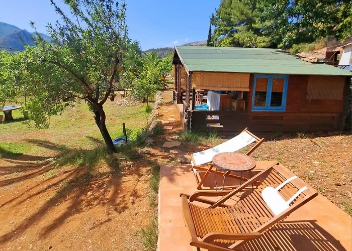 India Cabin En Casa Del Paso Alicante