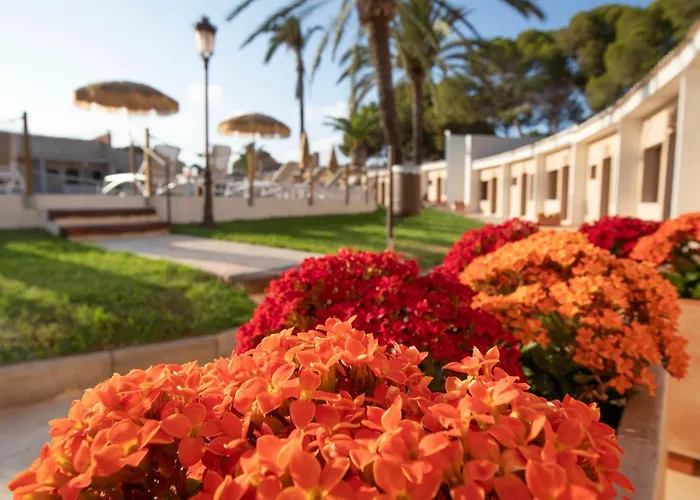 Hoteles en Dehesa de Campoamor (Orihuela Costa)