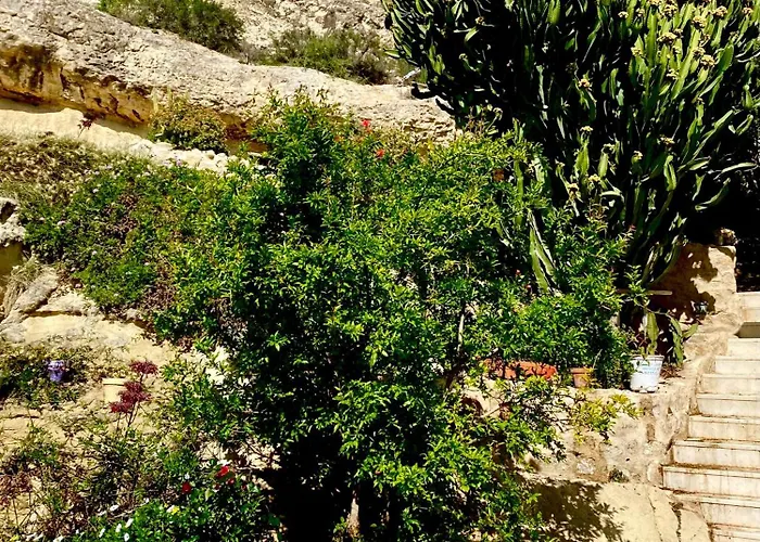 View 4 U Apartment - Alicante che accetta animali