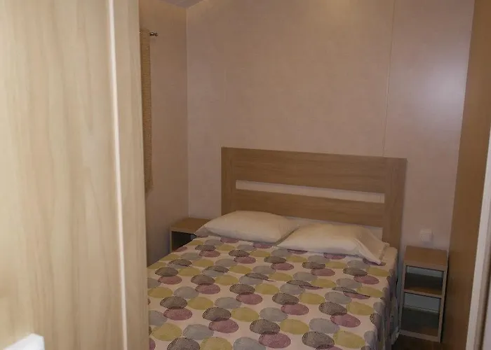Camping La Torreta Hotel Benidorm aceita animais de estimação