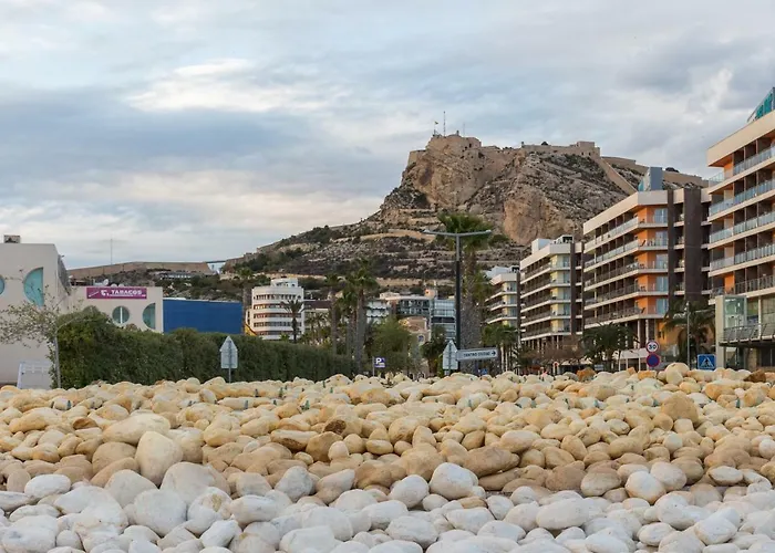 Fidalsa Urban Chic Apartment Alicante
