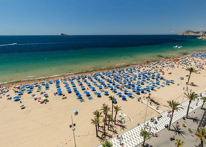 Las Palmeras 10A Benidorm che accetta animali