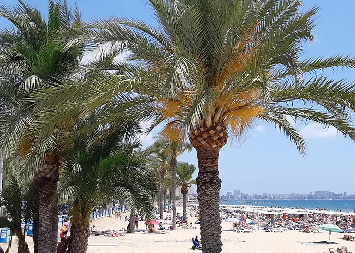 Wonderful Apartment In The Center By The Sea Alicante acceptant les animaux