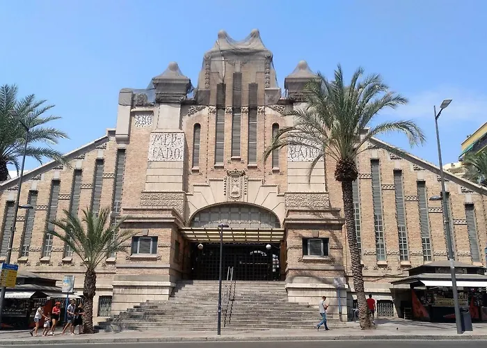 Estudio Alicante Centro che accetta animali